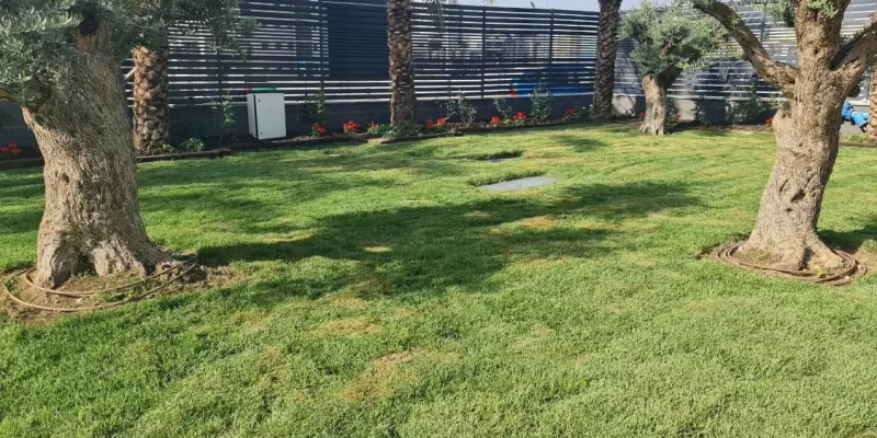 בית אבות העמקים - עפולה