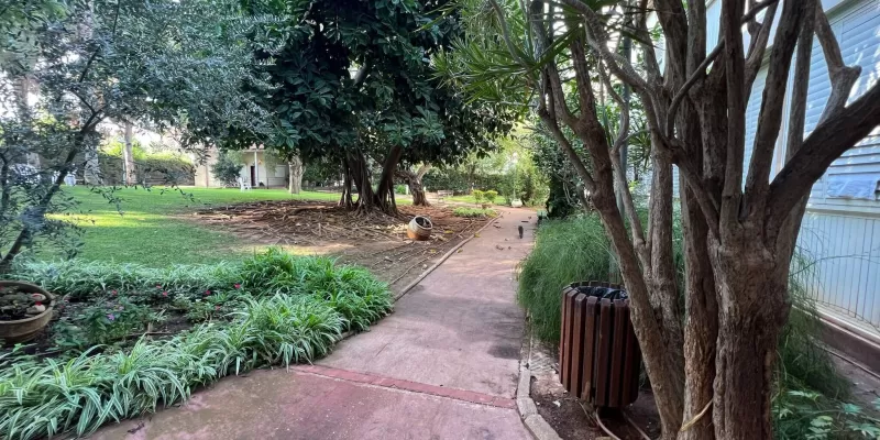 בית בלב כפר סבא חצר