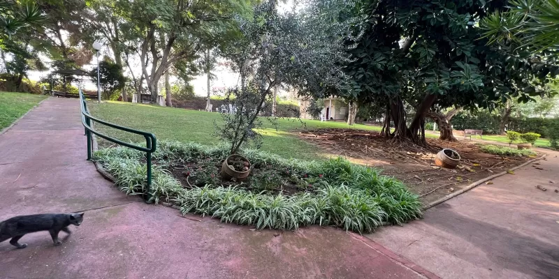 בית בלב בית אבות בכפר סבא - המבריא 
